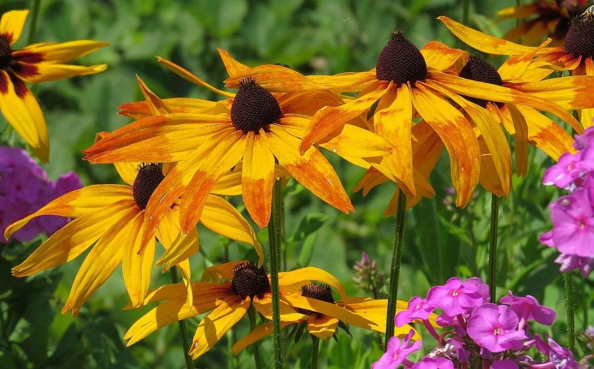 � ��������� ������ ����� Natali  ��������� �� PhotoGeek.ru #������ ��� ������� #����� ��������������