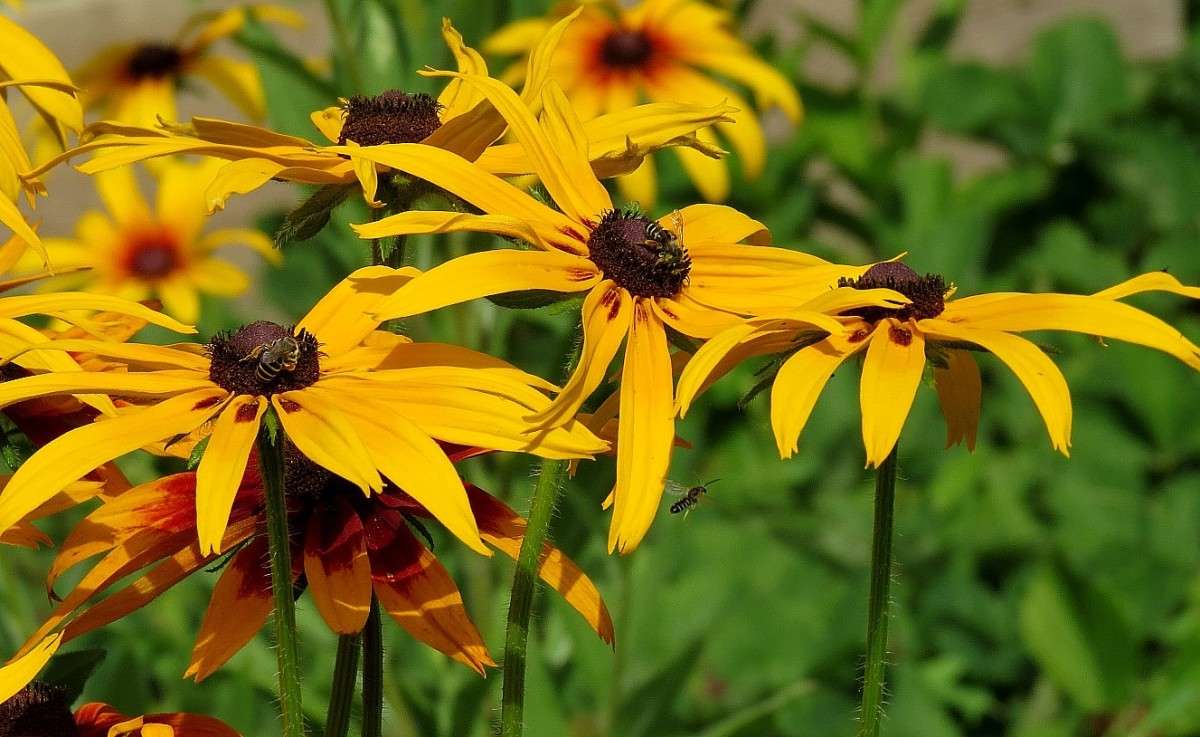 � ��������� ������ � �� ������ .... 2 ����� Natali  ��������� �� PhotoGeek.ru #������ ��� ������� #����� ��������������