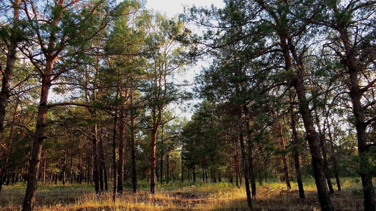 ����� 5 ����� Natali  ��������� �� PhotoGeek.ru #������ ��� �������