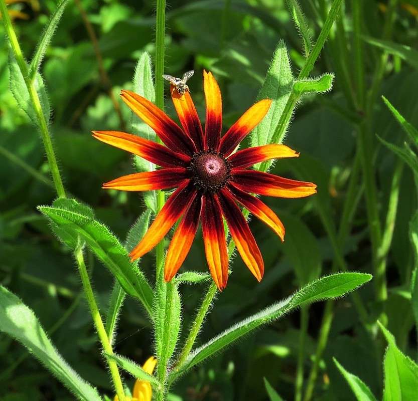 � ��������� ������ � �� ������ .... ����� Natali  ��������� �� PhotoGeek.ru #������ ��� ������� #����� ��������������