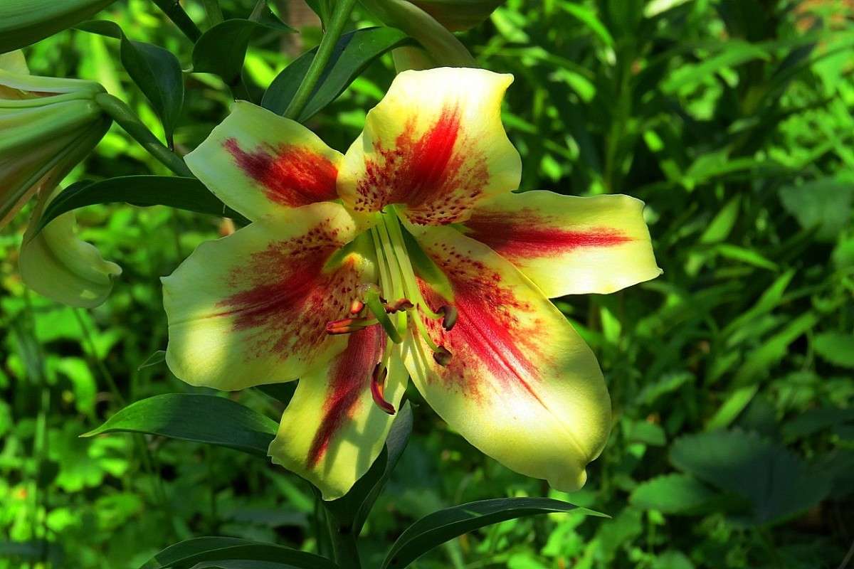 ... ����� Natali  ��������� �� PhotoGeek.ru #������ ��� ������� #����� ��������������