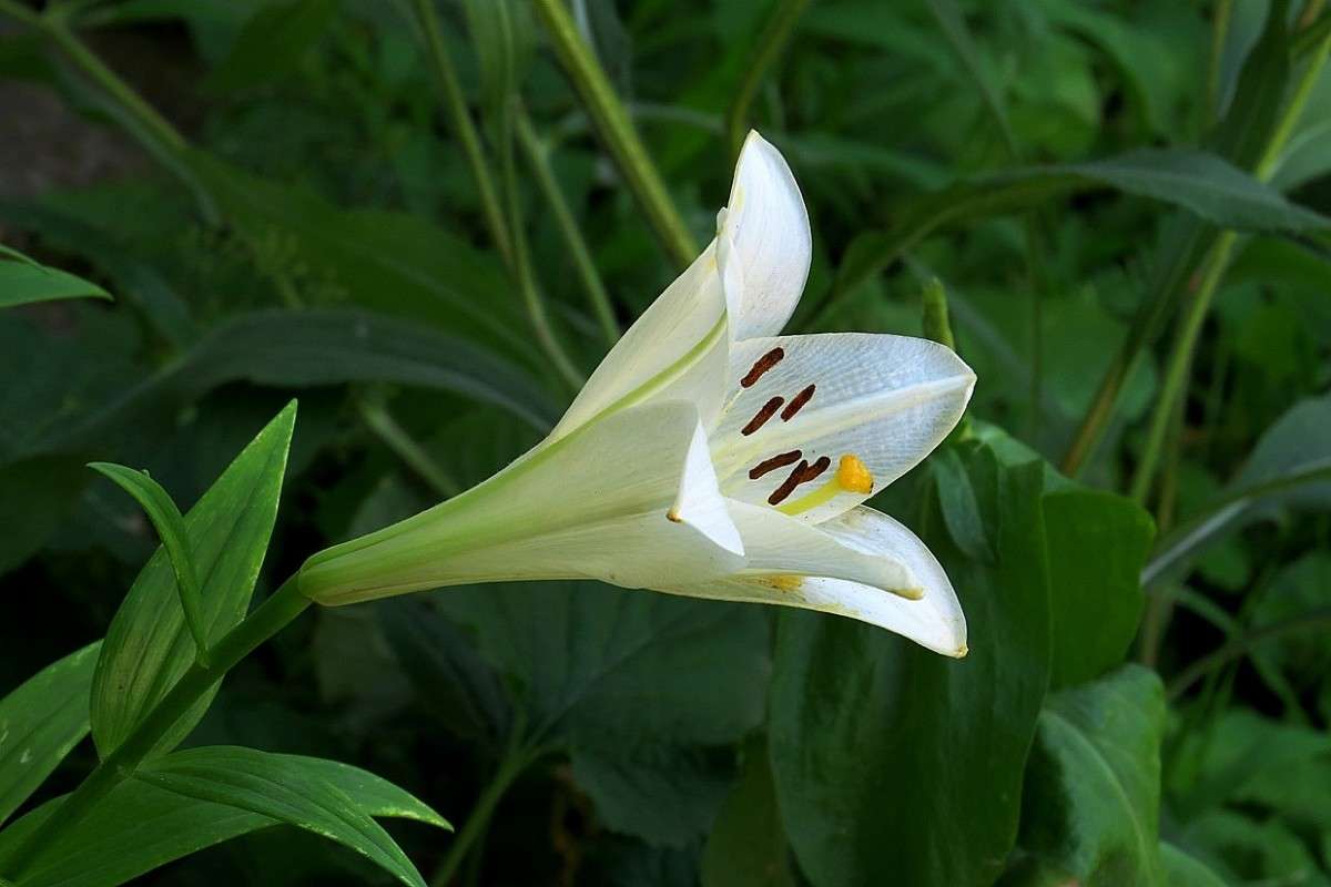 ... ����� Natali  ��������� �� PhotoGeek.ru #������ ��� �������