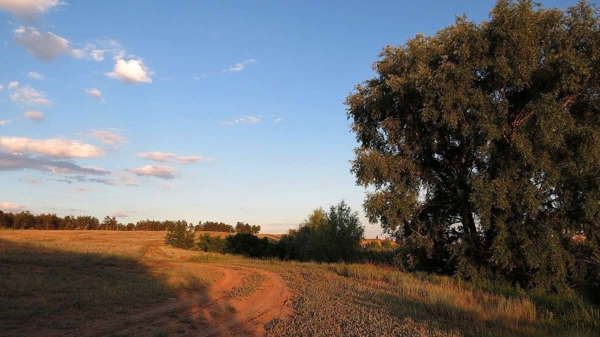 �������� ������ ����� Natali  ��������� �� PhotoGeek.ru #������ ��� ������� #����� ��������������