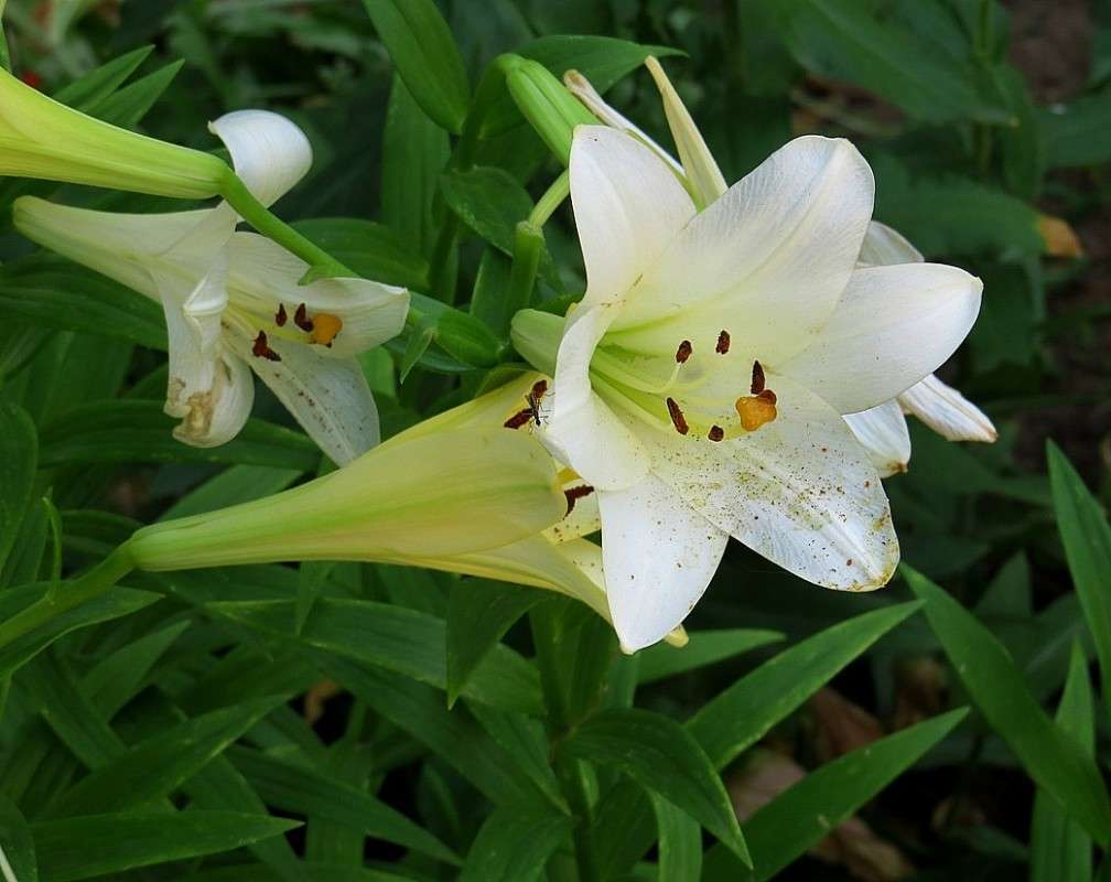 ... ����� Natali  ��������� �� PhotoGeek.ru #������ ��� ������� #����� ��������������