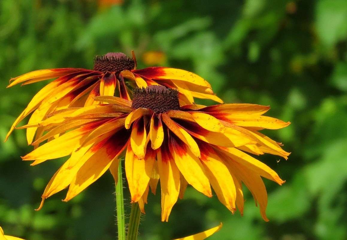 ������� ) ����� Natali  ��������� �� PhotoGeek.ru #������ ��� ������� #����� ��������������