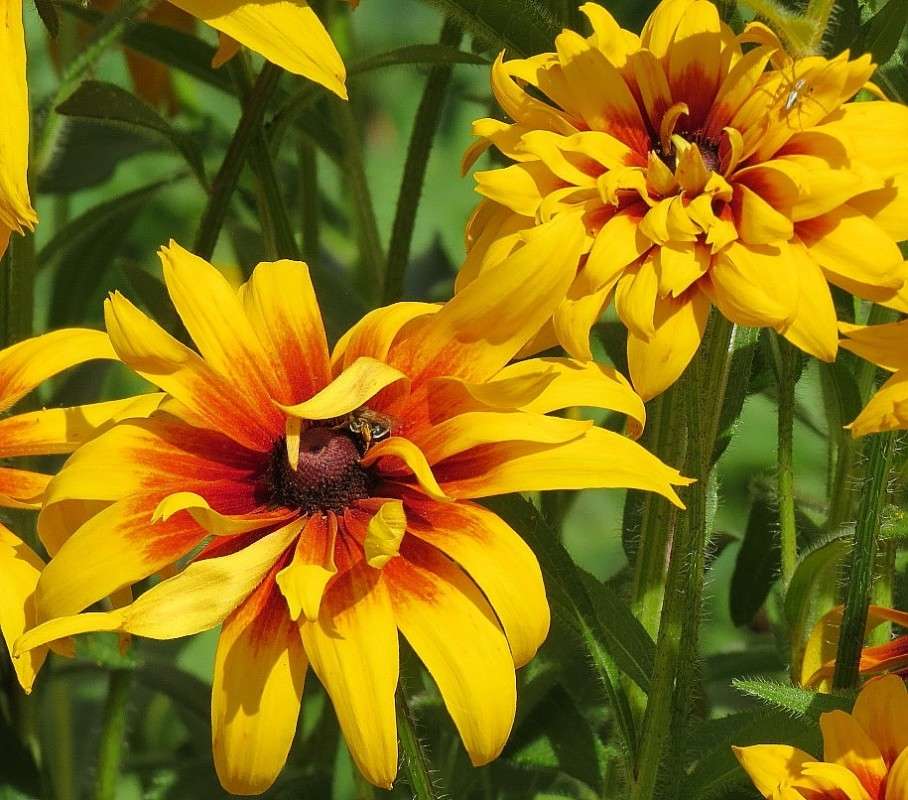 ������� ���� ����� ) ����� Natali  ��������� �� PhotoGeek.ru #������ ��� ������� #����� ��������������