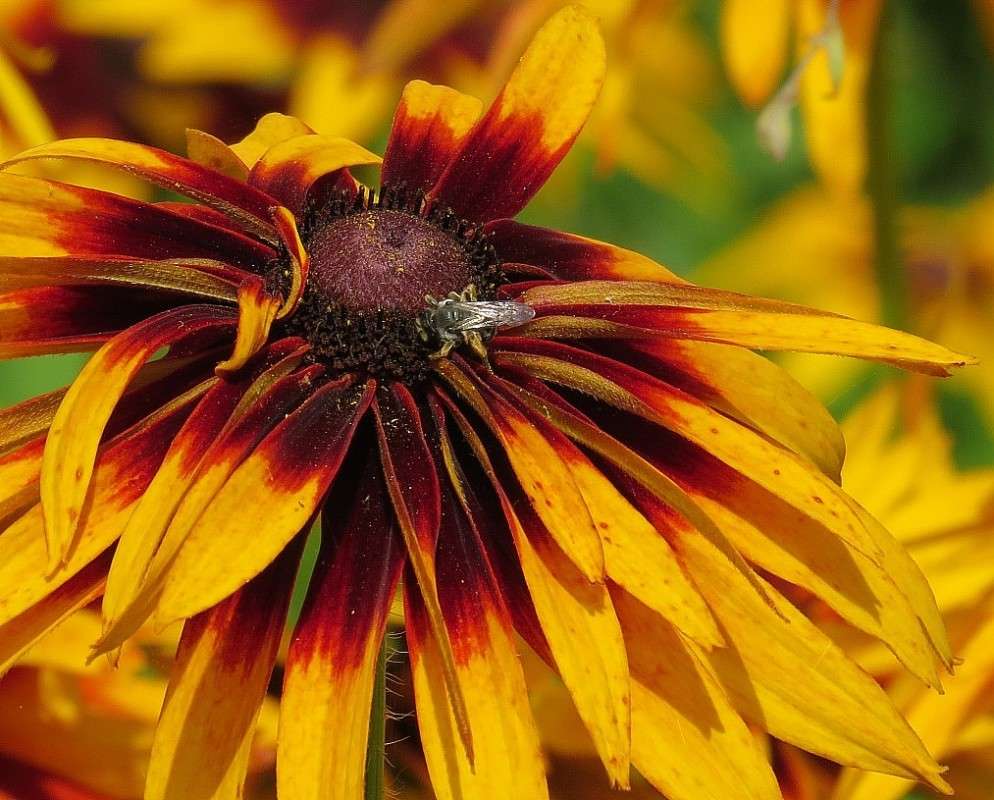 �� ����� ���� 2 ����� Natali  ��������� �� PhotoGeek.ru #������ ��� ������� #����� ��������������