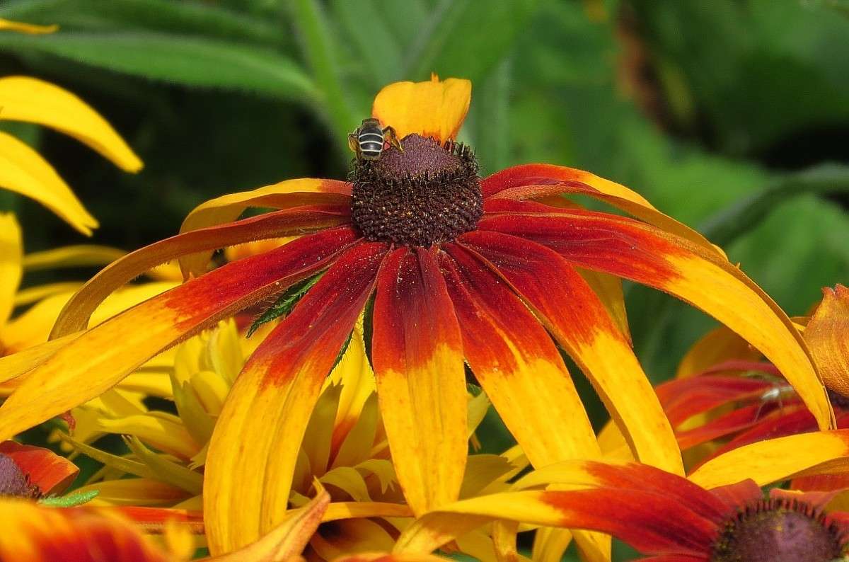 �� ����� ���� 3 ����� Natali  ��������� �� PhotoGeek.ru #������ ��� ������� #����� ��������������