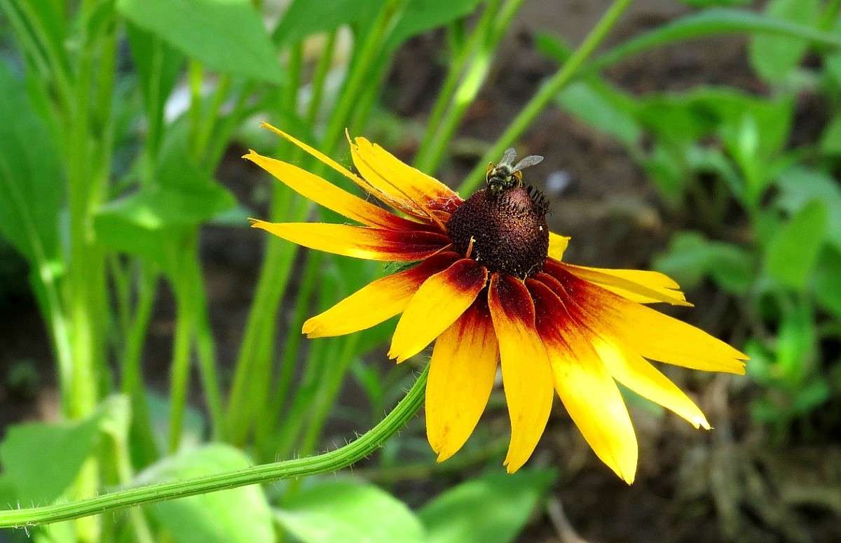 �� ����� ���� 4 ����� Natali  ��������� �� PhotoGeek.ru #������ ��� ������� #����� ��������������