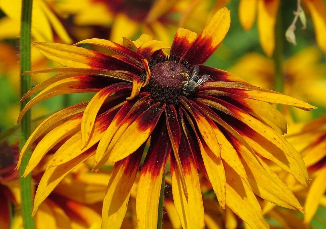 �� ����� ���� ����� Natali  ��������� �� PhotoGeek.ru #������ ��� ������� #����� ��������������