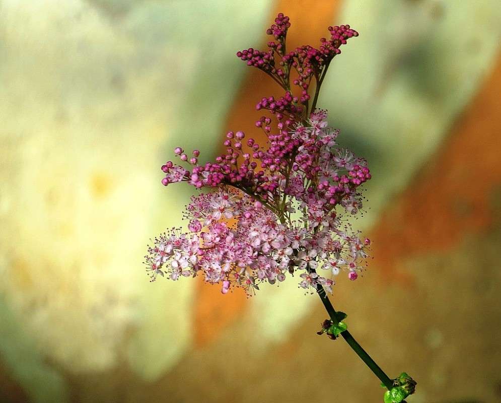 �������� ����� Natali  ��������� �� PhotoGeek.ru #������ ��� ������� #����� ��������������