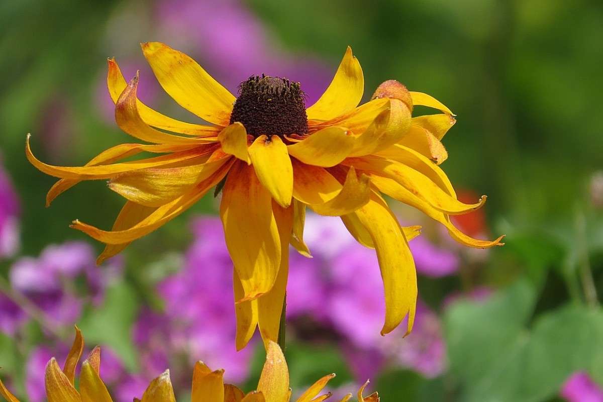 ��������� ) ����� Natali  ��������� �� PhotoGeek.ru #������ ��� ������� #����� ��������������