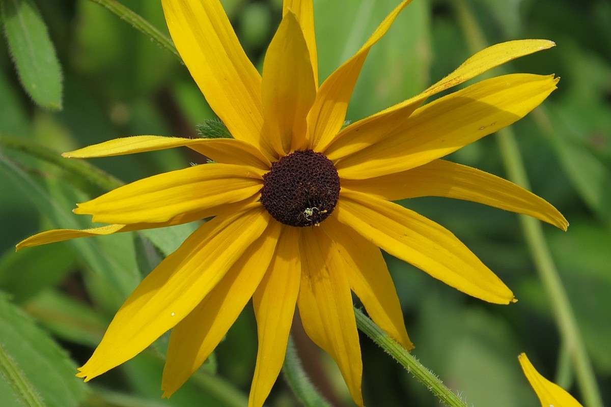 �  ������� ) ����� Natali  ��������� �� PhotoGeek.ru #������ ��� ������� #����� ��������������