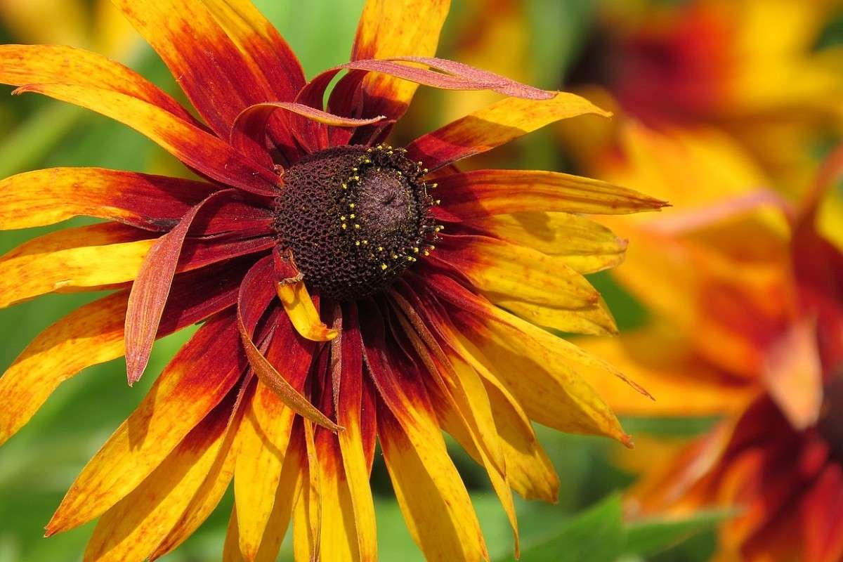 ������� ) ����� Natali  ��������� �� PhotoGeek.ru #������ ��� ������� #����� ��������������