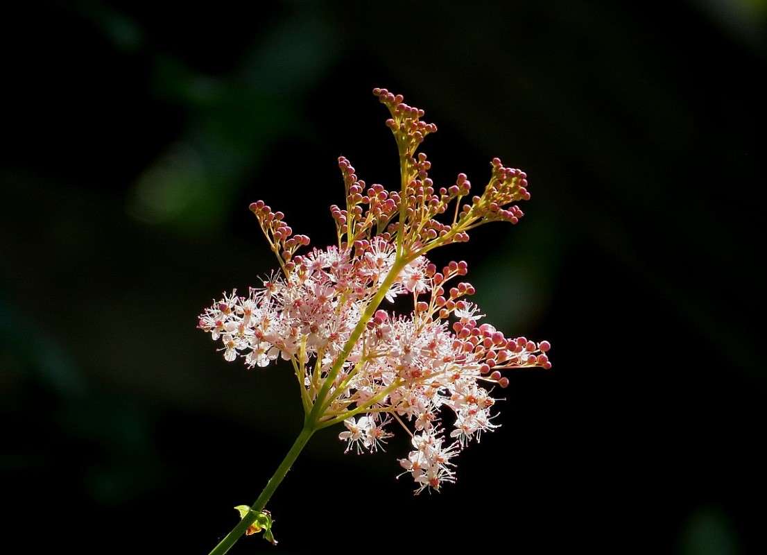 �������� 2 ����� Natali  ��������� �� PhotoGeek.ru #������ ��� ������� #����� ��������������