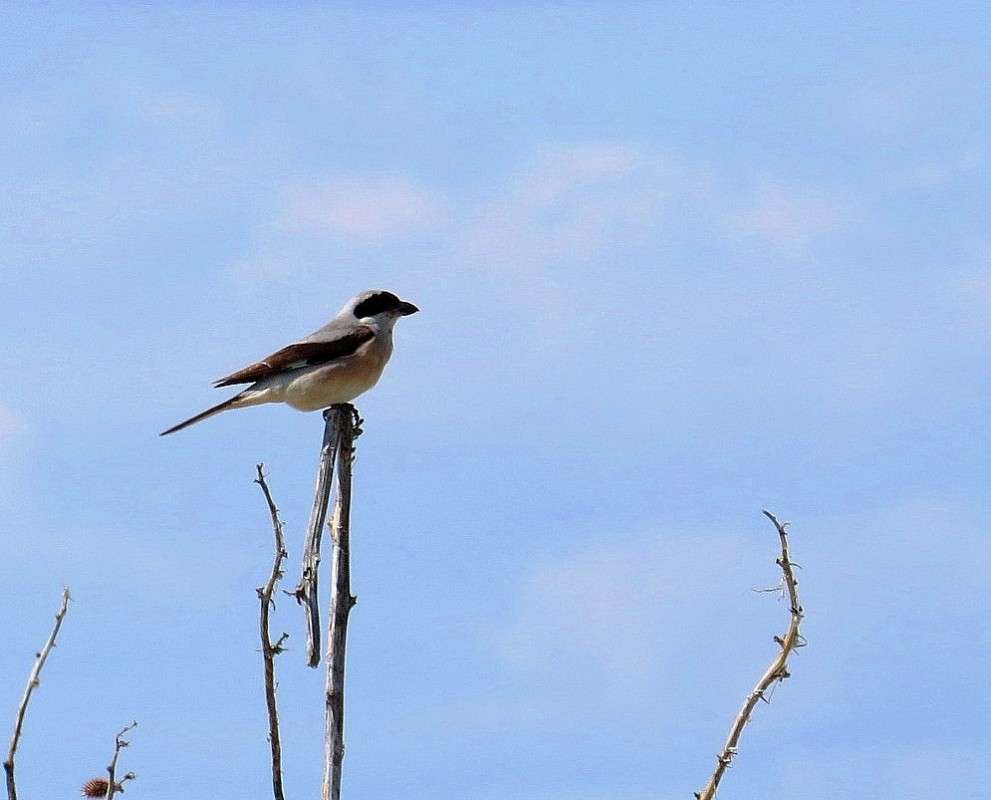 ... ����� Natali  ��������� �� PhotoGeek.ru #�������� ��� #������ ��� ������� #����� ��� ��� ���������