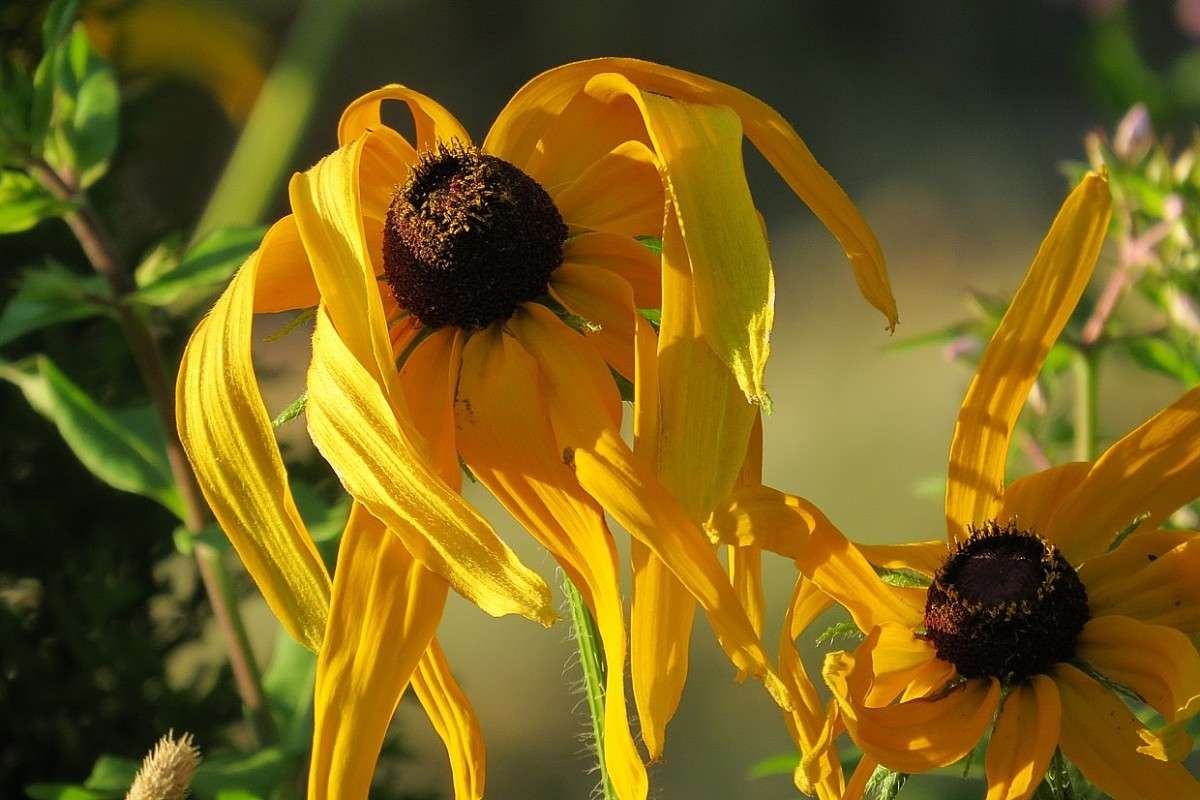 ��������� �������� ))) ����� Natali  ��������� �� PhotoGeek.ru #������ ��� ������� #����� ��������������