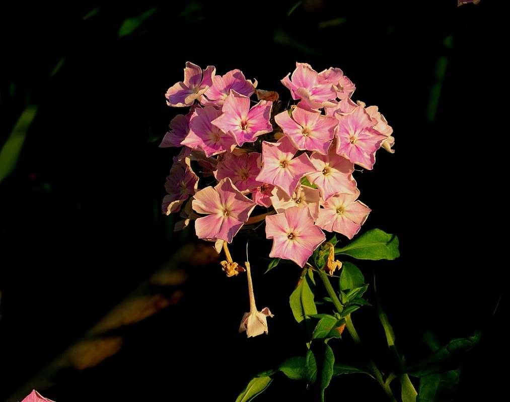 ... ����� Natali  ��������� �� PhotoGeek.ru #����� ��������������