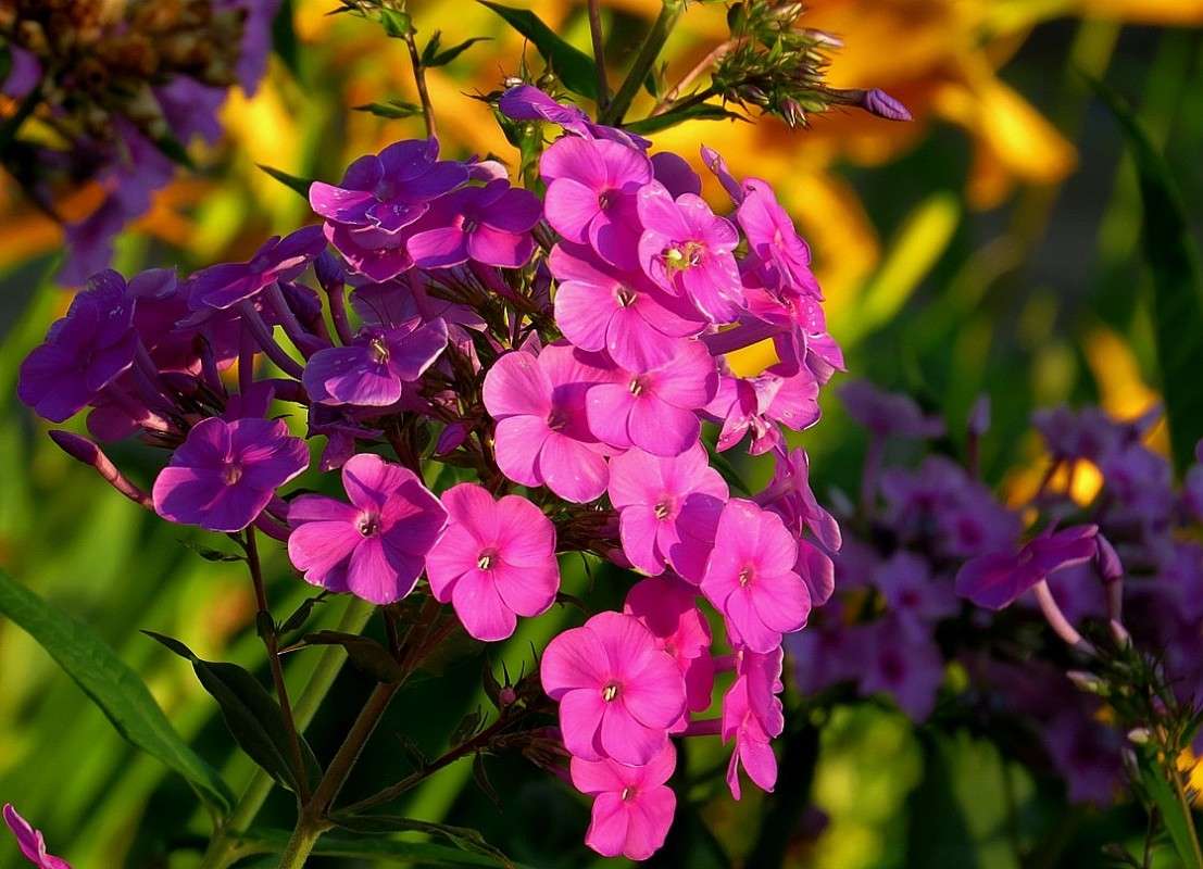 ... ����� Natali  ��������� �� PhotoGeek.ru #����� ��������������