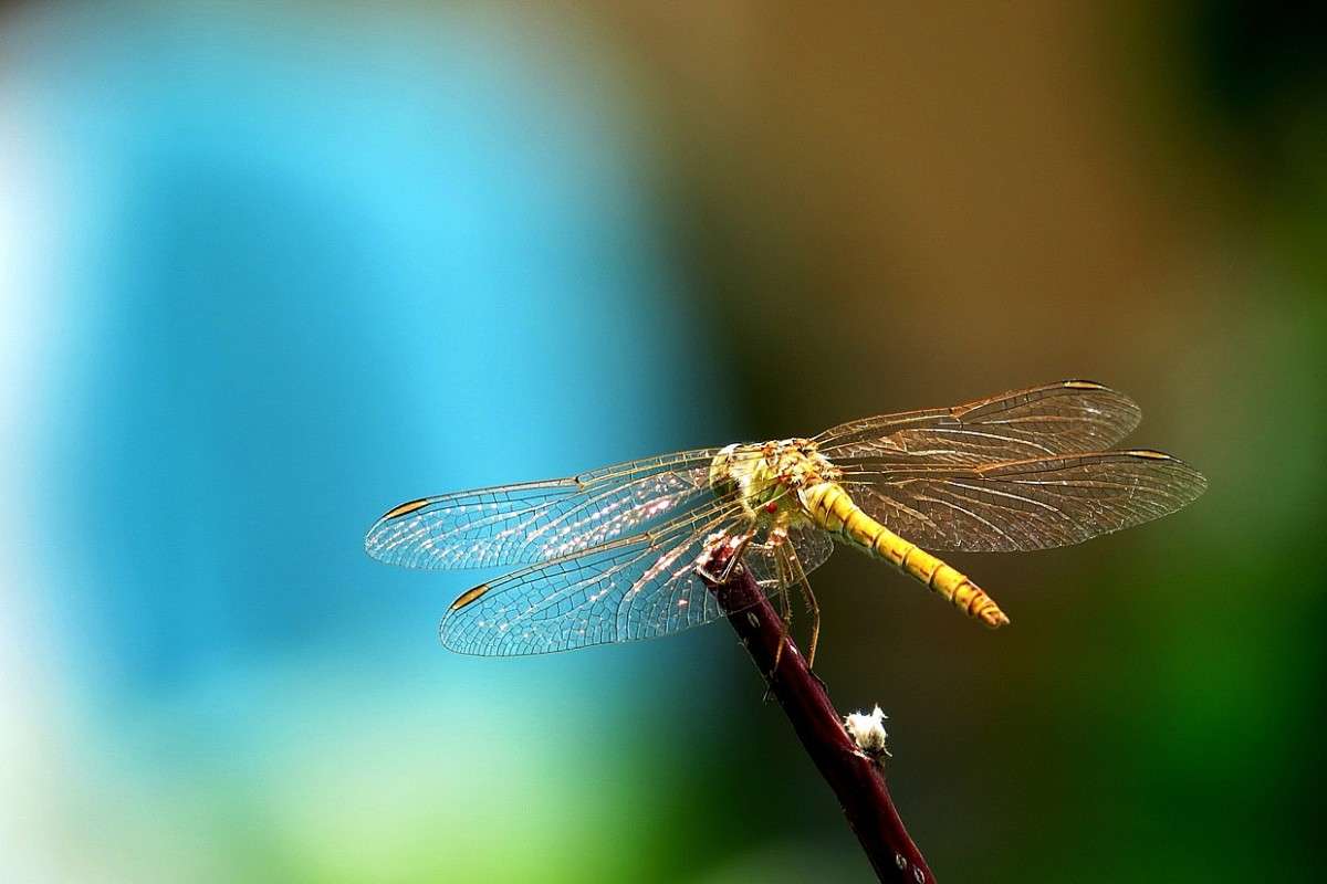 �� ����� 2 ����� Natali  ��������� �� PhotoGeek.ru #�����