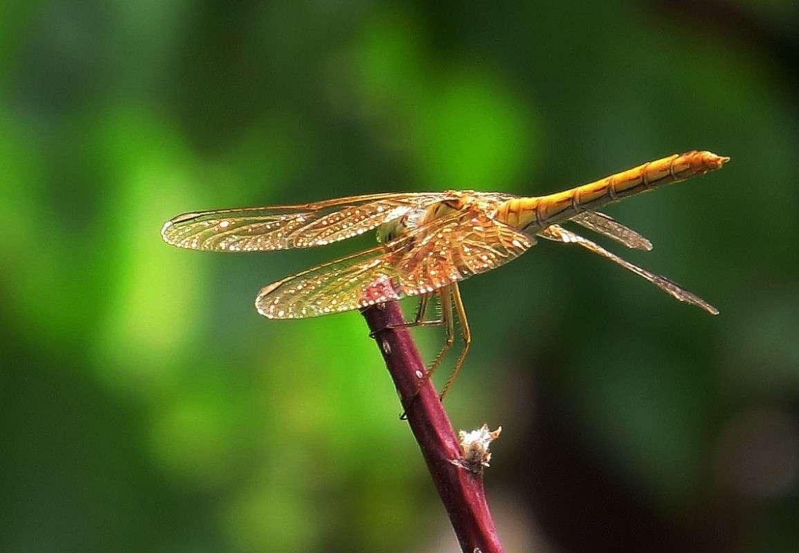 �� ����� 3 ����� Natali  ��������� �� PhotoGeek.ru #�����