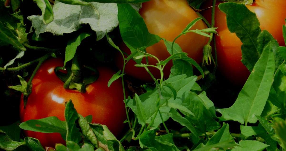 ��� ��� �����, ���� ���� .....))) ����� Natali  ��������� �� PhotoGeek.ru #����� ��������������