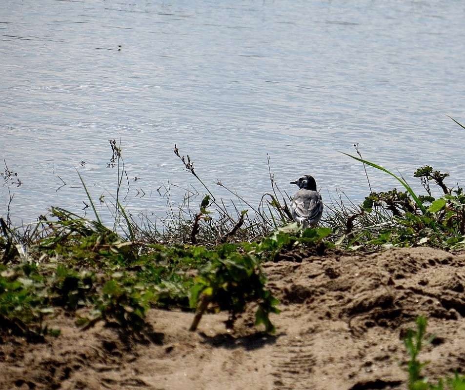 ��  ������ ����� Natali  ��������� �� PhotoGeek.ru #�������� ��� #������ ��� �������