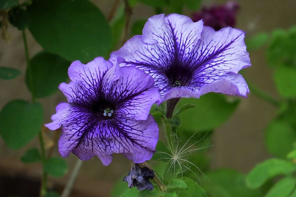 ������� ������� ... ) ����� Natali  ��������� �� PhotoGeek.ru #����� ��������������