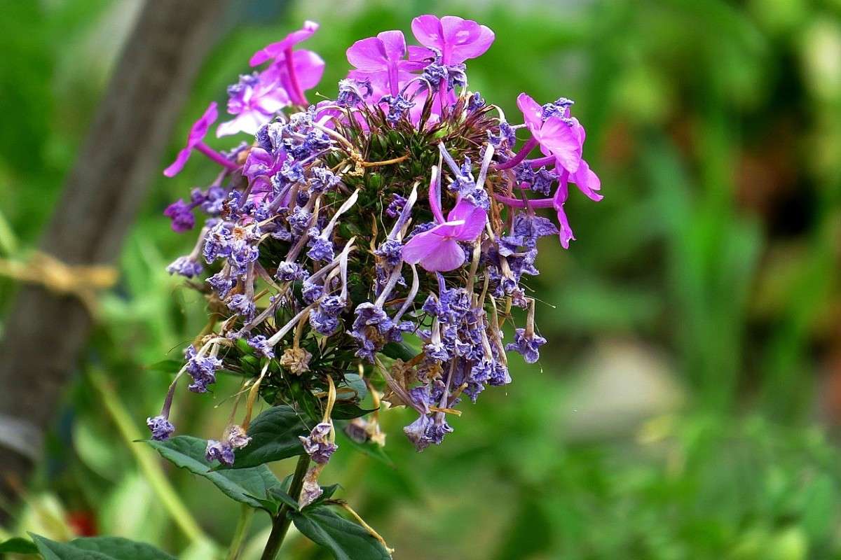 ����� �����, �� ������ ������ ( ����� Natali  ��������� �� PhotoGeek.ru #����� ��������������