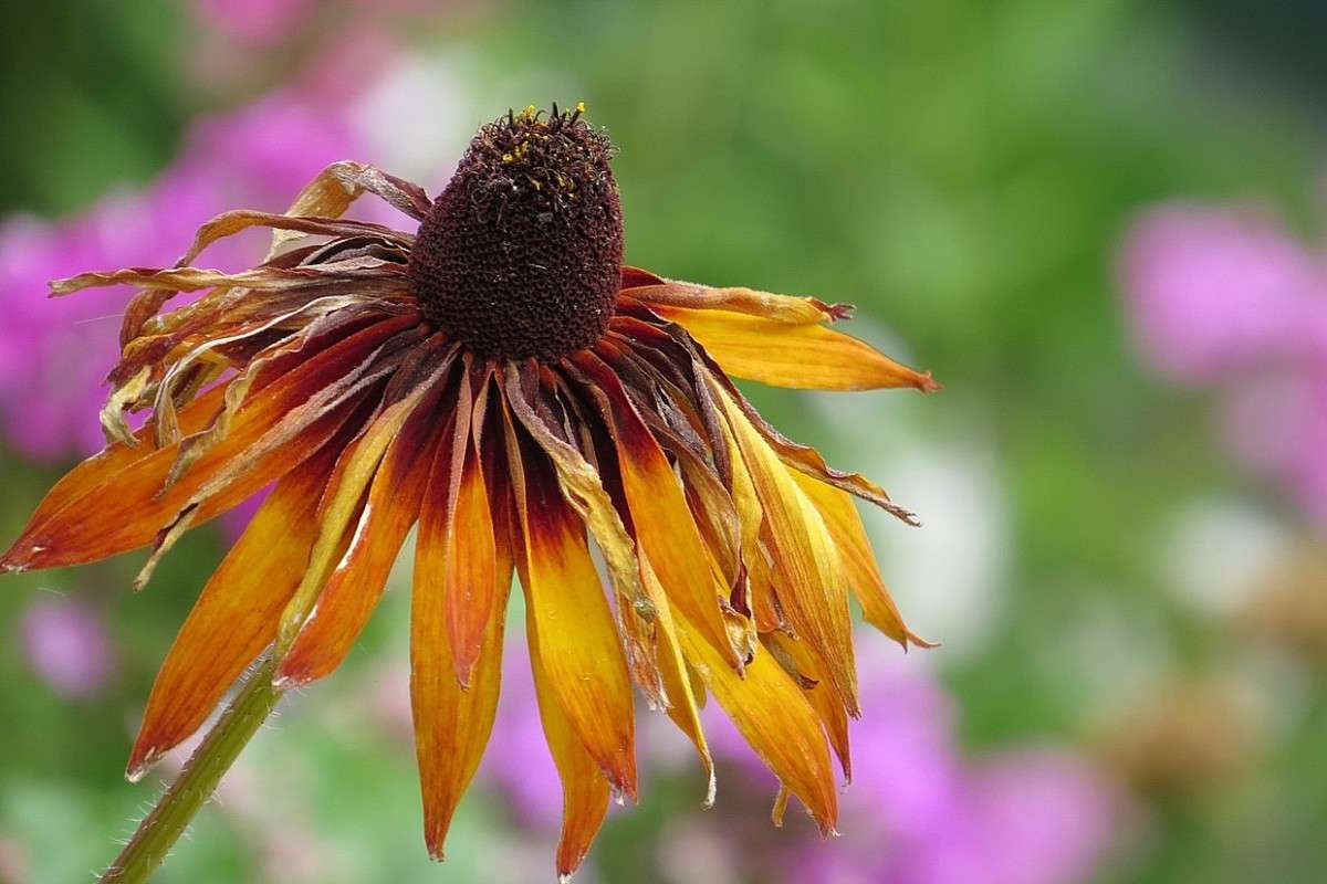 ����� �����, �� ������ ������ 2 ... ( ����� Natali  ��������� �� PhotoGeek.ru #����� ��������������