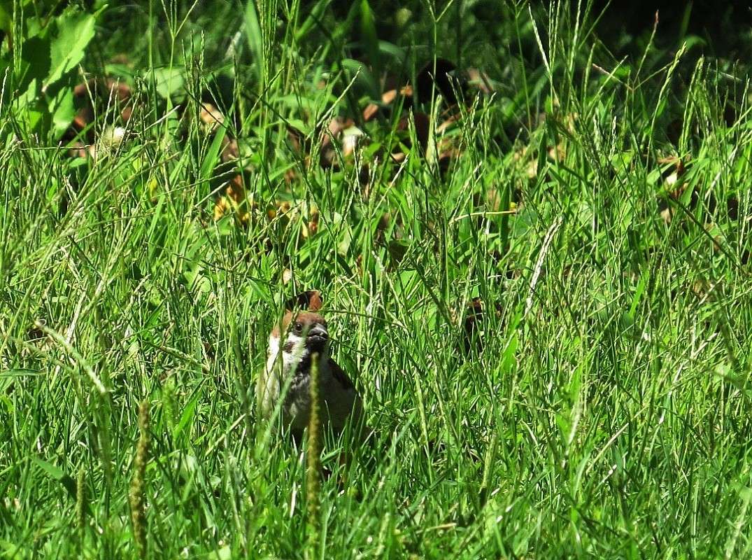 ������ ���� � �����-������  2 ...) ����� Natali  ��������� �� PhotoGeek.ru #�������� ��� #����� ��� ��� ���������