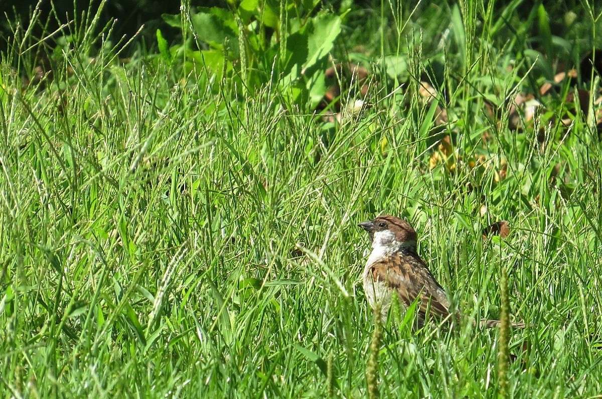 ������ ���� � �����-������ ...) ����� Natali  ��������� �� PhotoGeek.ru #�������� ��� #����� ��� ��� ���������