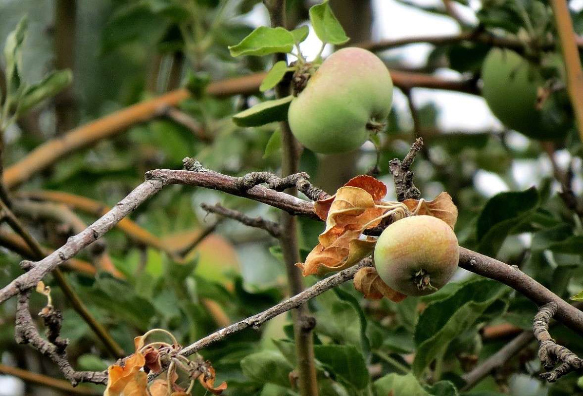 ����� �����, �� ������ ������ 6 ... ( ����� Natali  ��������� �� PhotoGeek.ru #����� ��������������