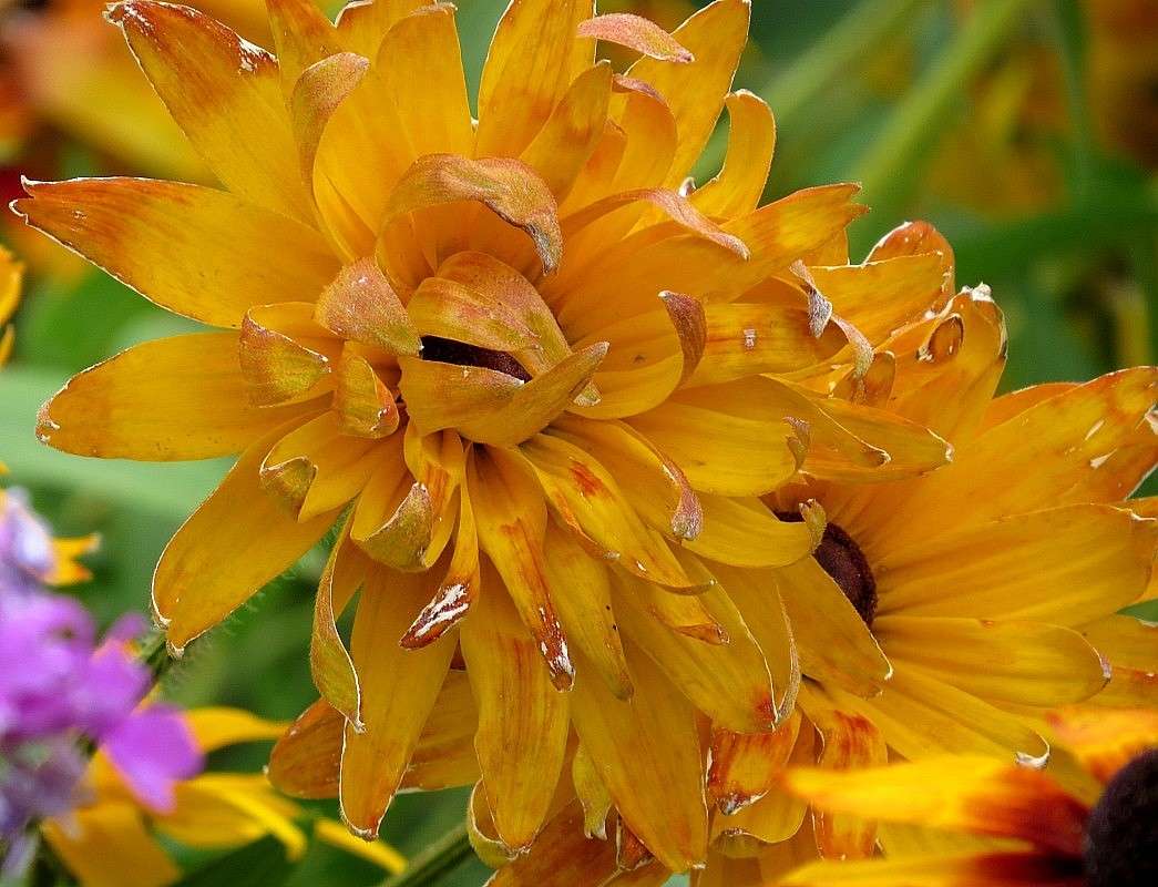 ����� �����, �� ������ ������ 4 ... ( ����� Natali  ��������� �� PhotoGeek.ru #����� ��������������