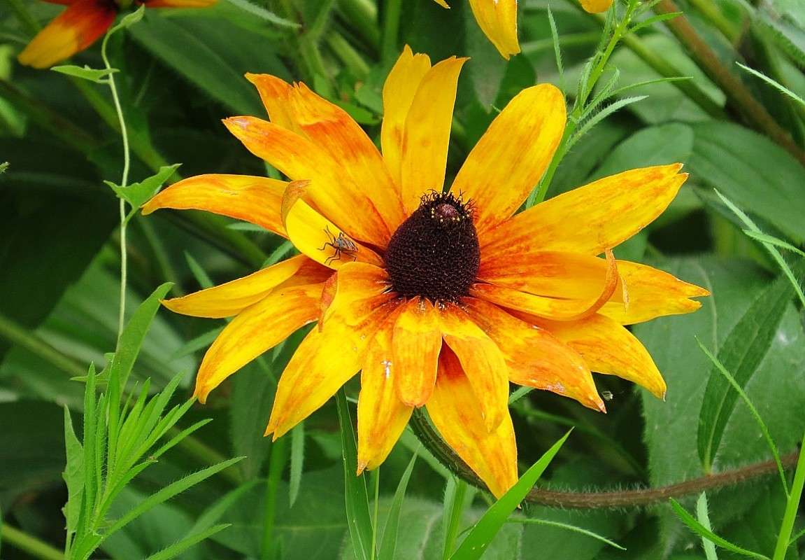 ����� �����, �� ������ ������ 3 ... ( ����� Natali  ��������� �� PhotoGeek.ru #����� ��������������