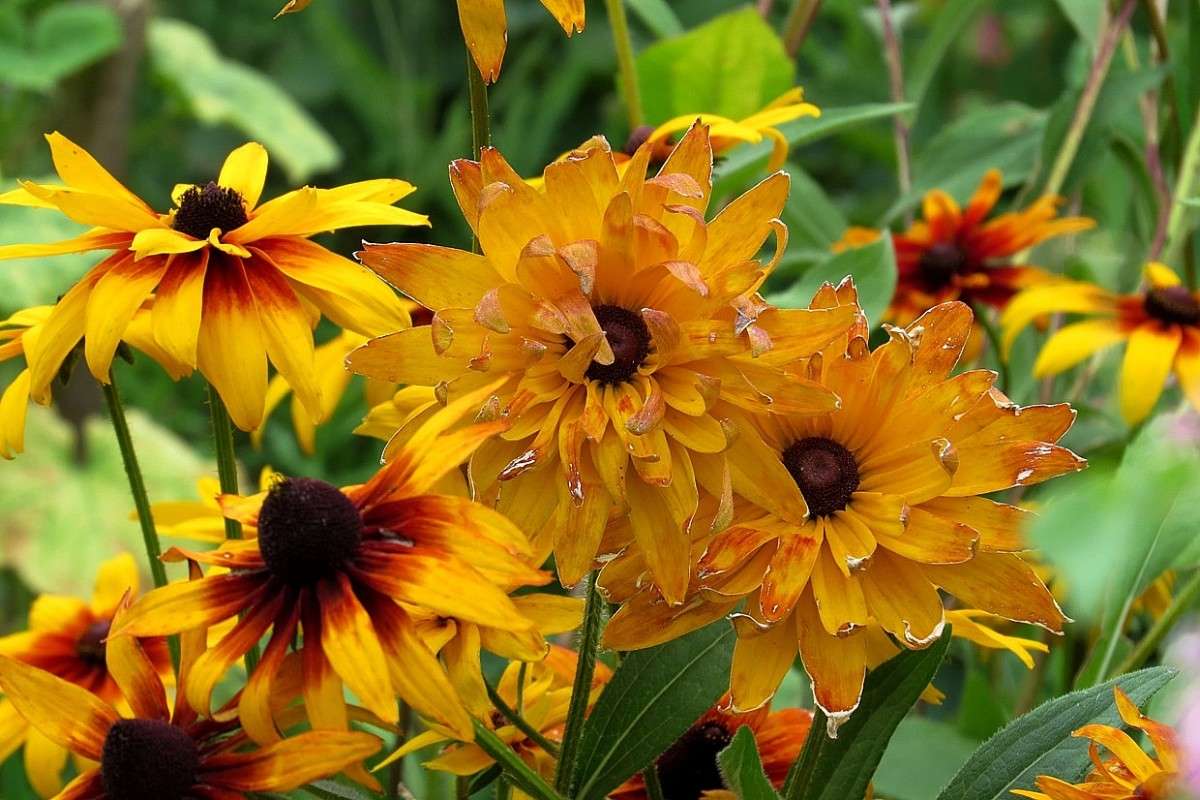 ... ����� Natali  ��������� �� PhotoGeek.ru #����� ��������������