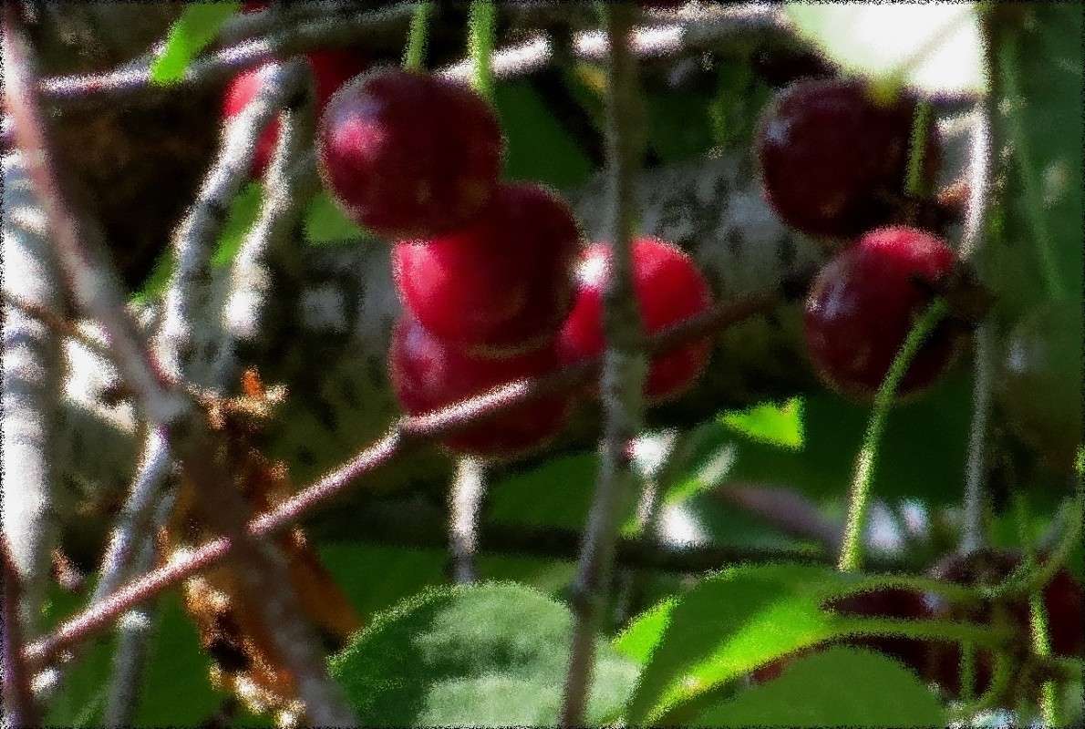 ������ ���� ����� Natali  ��������� �� PhotoGeek.ru #����� ��������������