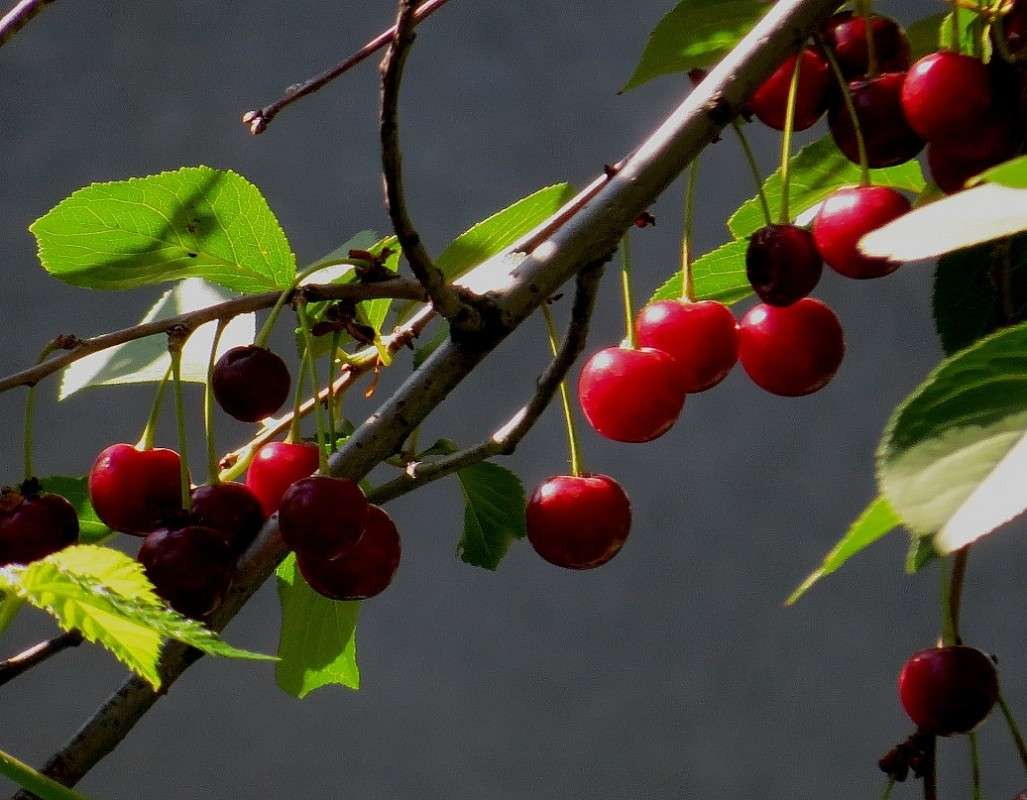 �� ���� ��....) ����� Natali  ��������� �� PhotoGeek.ru #����� ��������������