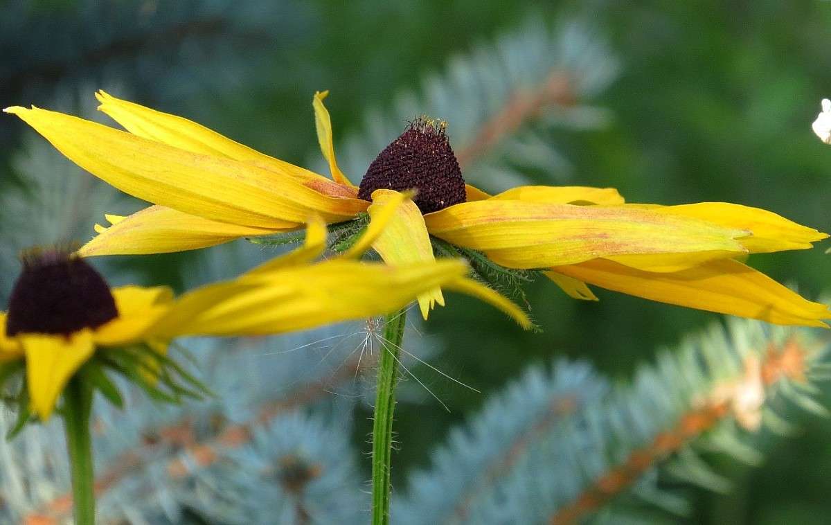 ... ����� Natali  ��������� �� PhotoGeek.ru #����� ��������������