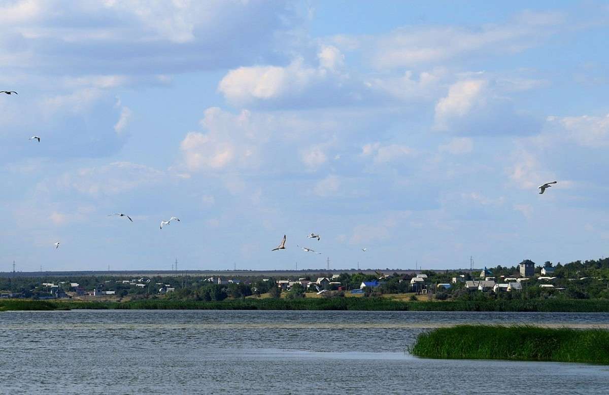 ����������� ))) ����� Natali  ��������� �� PhotoGeek.ru #������ ��� �������