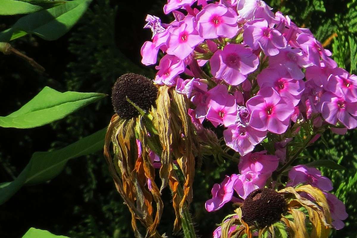 �������� ���� ) ����� Natali  ��������� �� PhotoGeek.ru #����� ��������������