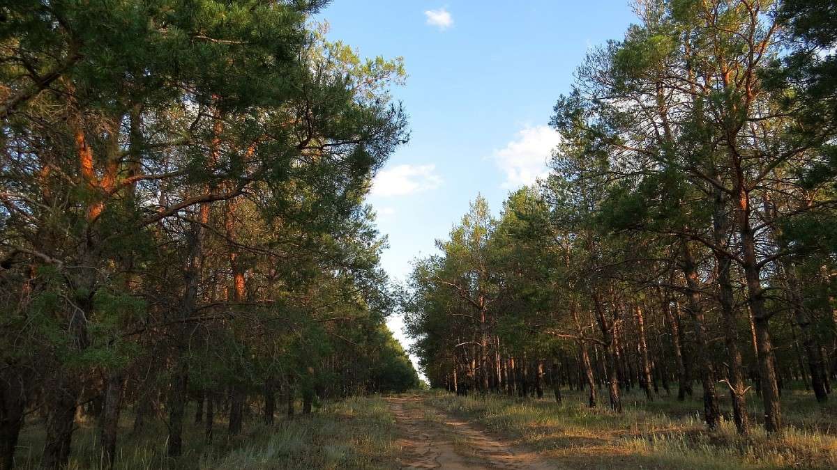 ... ����� Natali  ��������� �� PhotoGeek.ru #������ ��� �������