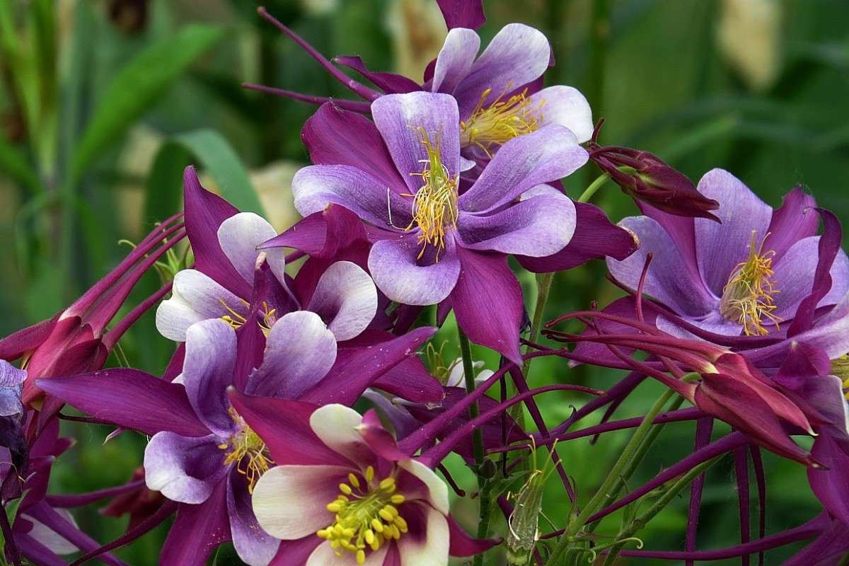 ... ����� Natali  ��������� �� PhotoGeek.ru #����� ��������������