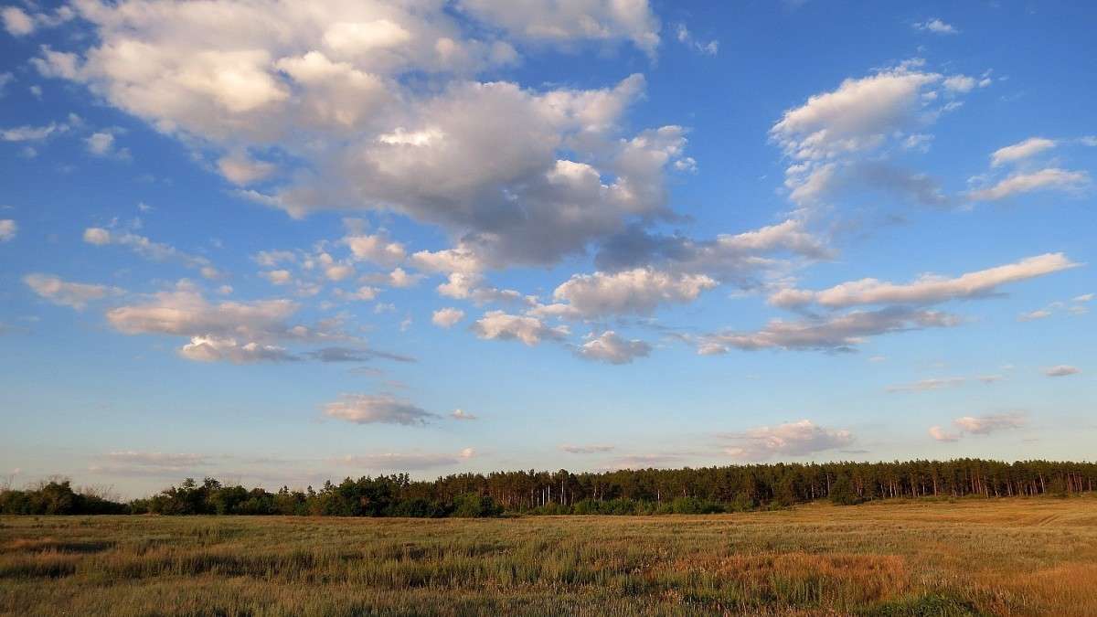 ... ����� Natali  ��������� �� PhotoGeek.ru #������ ��� �������