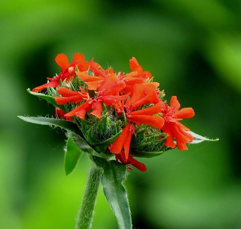 ... ����� Natali  ��������� �� PhotoGeek.ru #����� ��������������