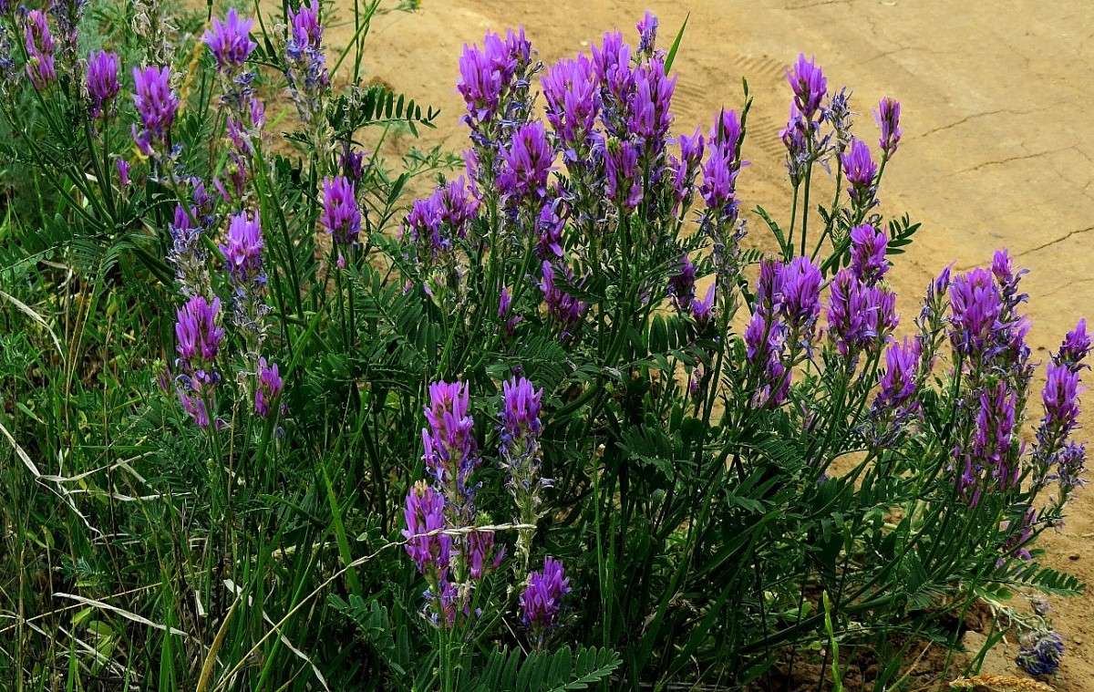 � ������ ����� Natali  ��������� �� PhotoGeek.ru #������ ��� ������� #����� ��������������