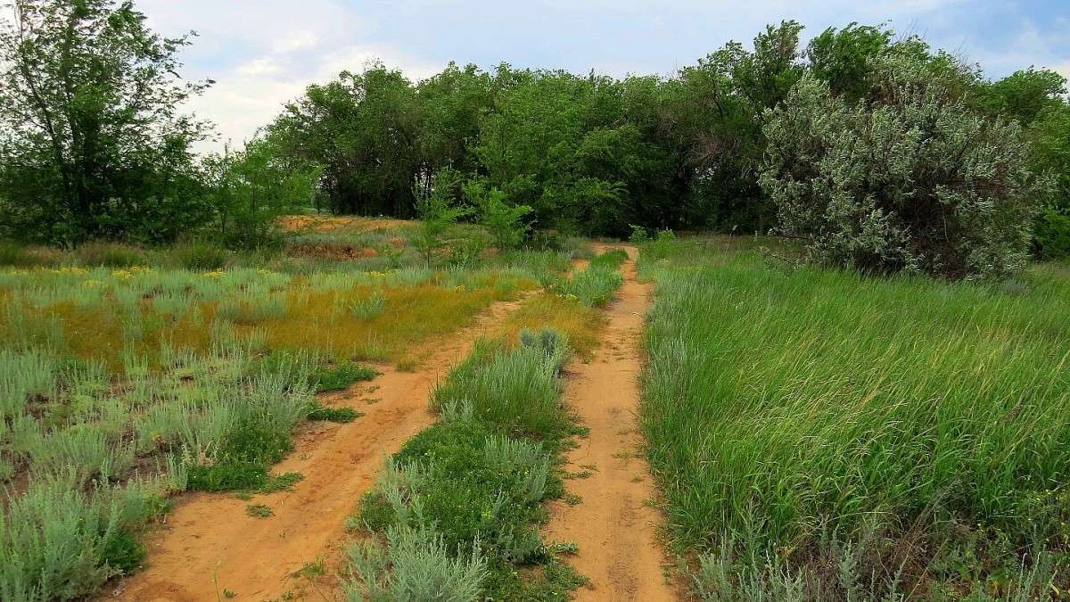 � ������ 3 ����� Natali  ��������� �� PhotoGeek.ru #������ ��� �������