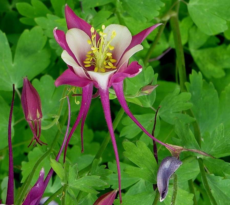 �� ������ ������ ) ����� Natali  ��������� �� PhotoGeek.ru #����� ��������������