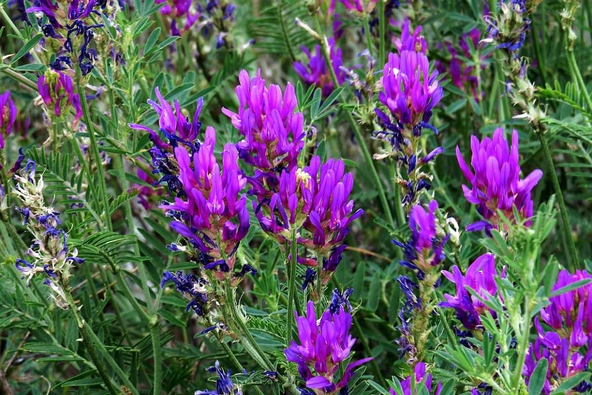 � ������ 2 ����� Natali  ��������� �� PhotoGeek.ru #����� ��������������