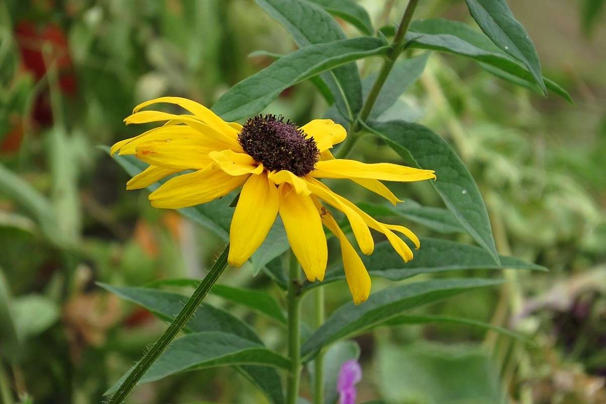 �������� ) ����� Natali  ��������� �� PhotoGeek.ru #����� ��������������